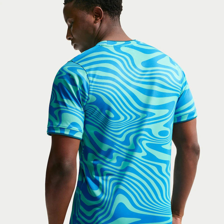Camiseta Brasil Dri-FIT Academy Pro Pré-Jogo