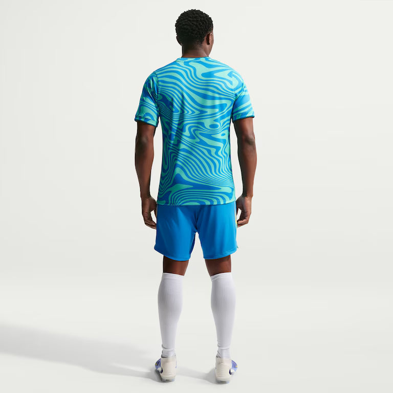 Camiseta Brasil Dri-FIT Academy Pro Pré-Jogo
