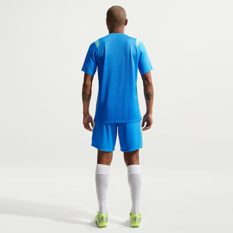 Camiseta Brasil Dri-FIT Academy Pro Masculina