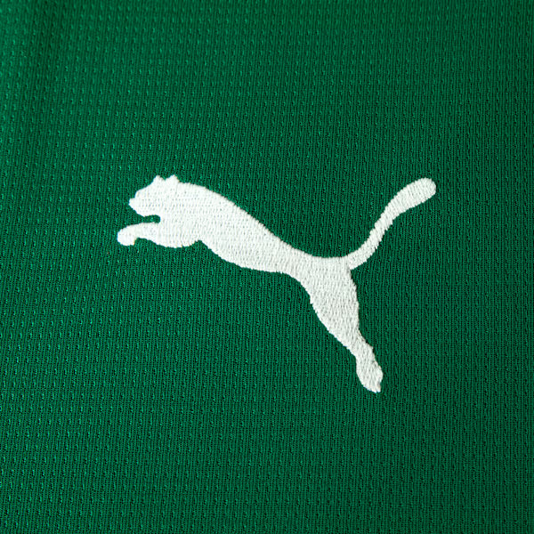 Camisa Palmeiras HOME 2026 Torcedor Masculina
