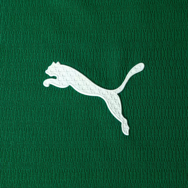 Camisa Palmeiras Home 2026 JOGADOR
